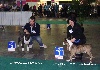  - EXPO COURTRAI 2011