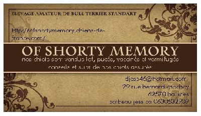 of Shorty Memory