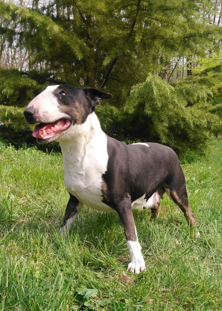 Gabbana little girl of Shorty Memory